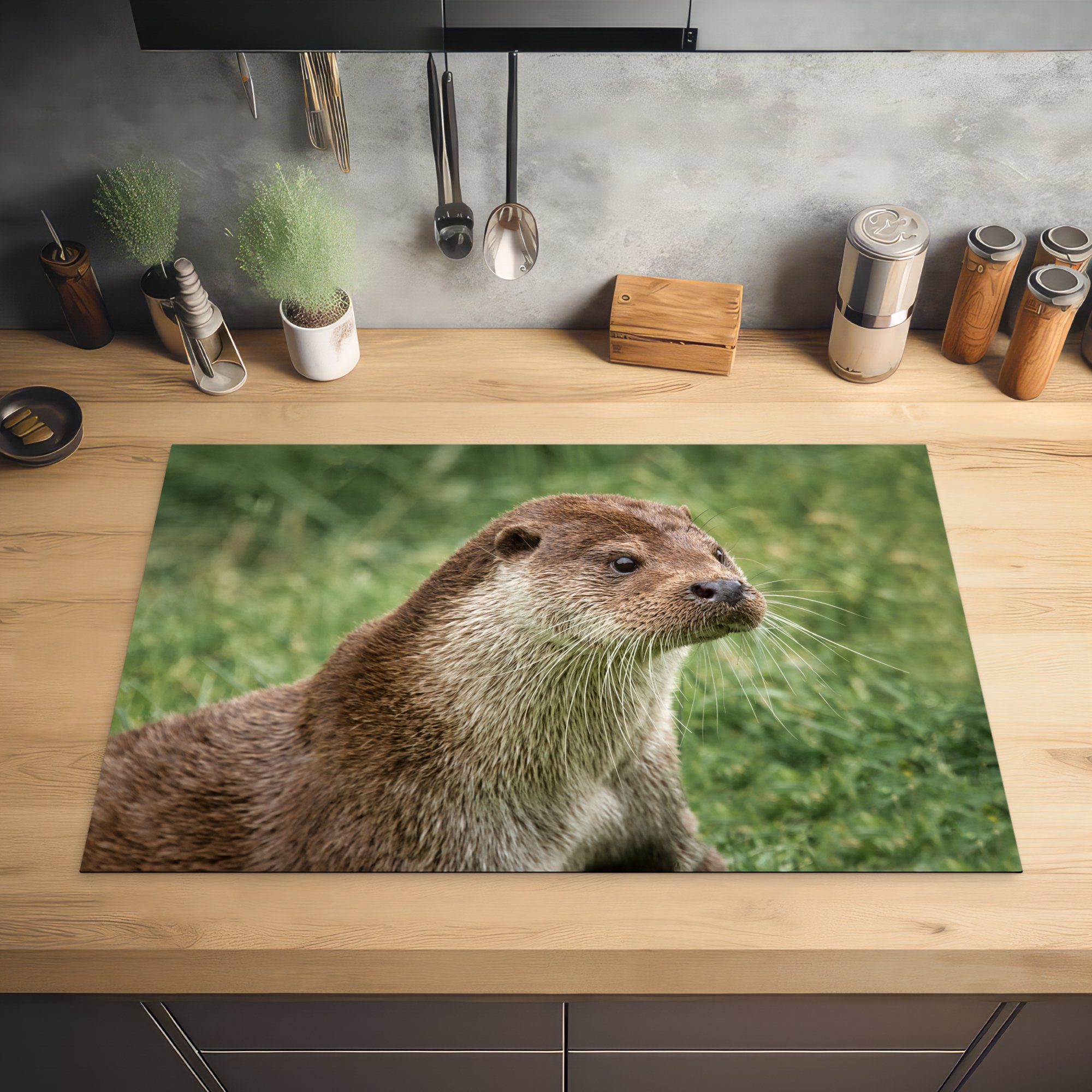 Induktionskochfeld Ceranfeldabdeckung (1 MuchoWow die für Otter Vinyl, cm, tlg), küche, 81x52 Gras, im Herdblende-/Abdeckplatte Schutz