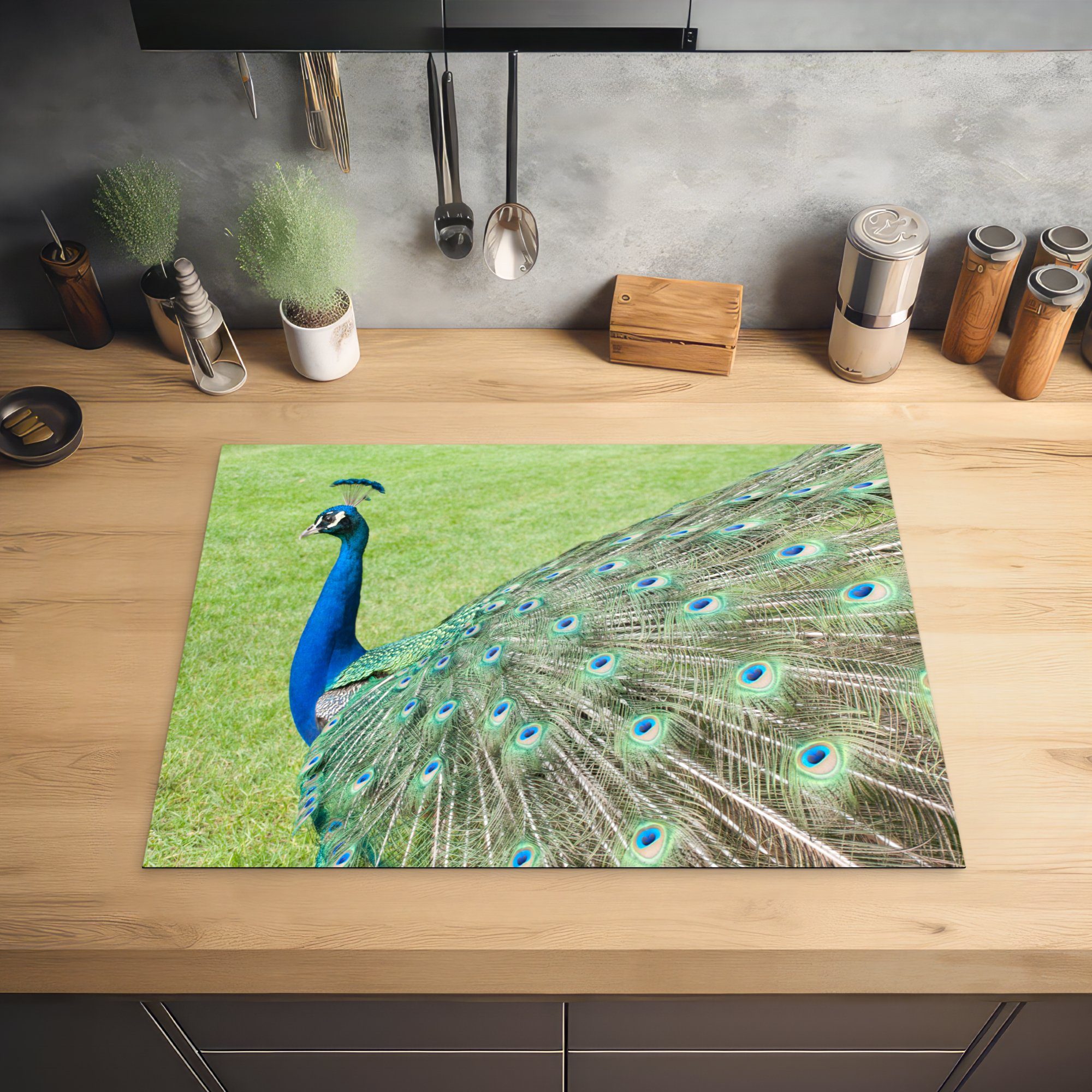 MuchoWow Herdblende-/Abdeckplatte Pfau - Vogelmuster, für Ceranfeldabdeckung 71x52 küche, cm, Vinyl, Schutz (1 tlg), Induktionskochfeld die