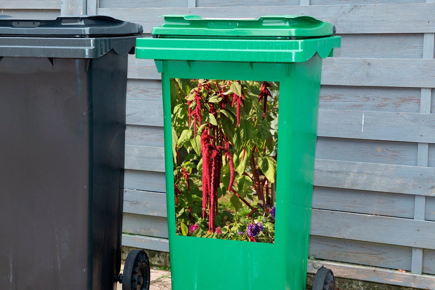 MuchoWow Wandsticker Amaranth-Pflanze in während Mülltonne, der (1 der den mit Sticker, St), Natur Container, Abfalbehälter Farben roten Mülleimer-aufkleber
