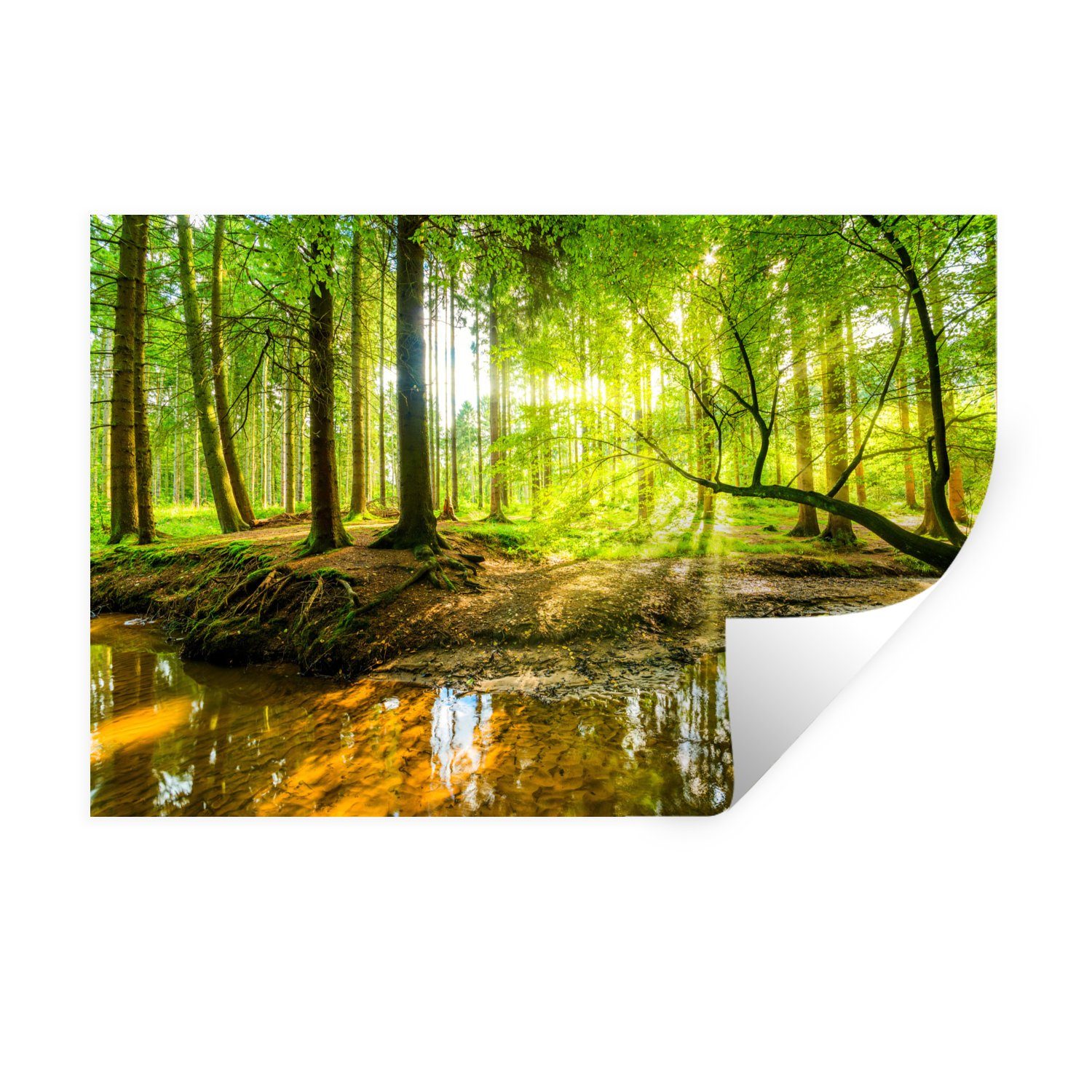 MuchoWow Wandsticker Wald - Landschaft - Wasser - Bäume - Sonne - Grün - Na günstig online kaufen