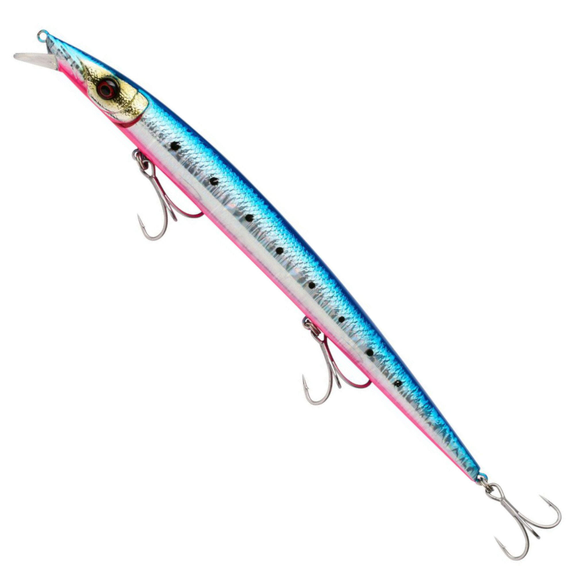 Pink Belly Sardine