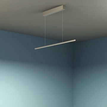 EVOTEC LED Pendelleuchte eXiro, LED fest integriert, Warmweiß, dezent, Made in Germany