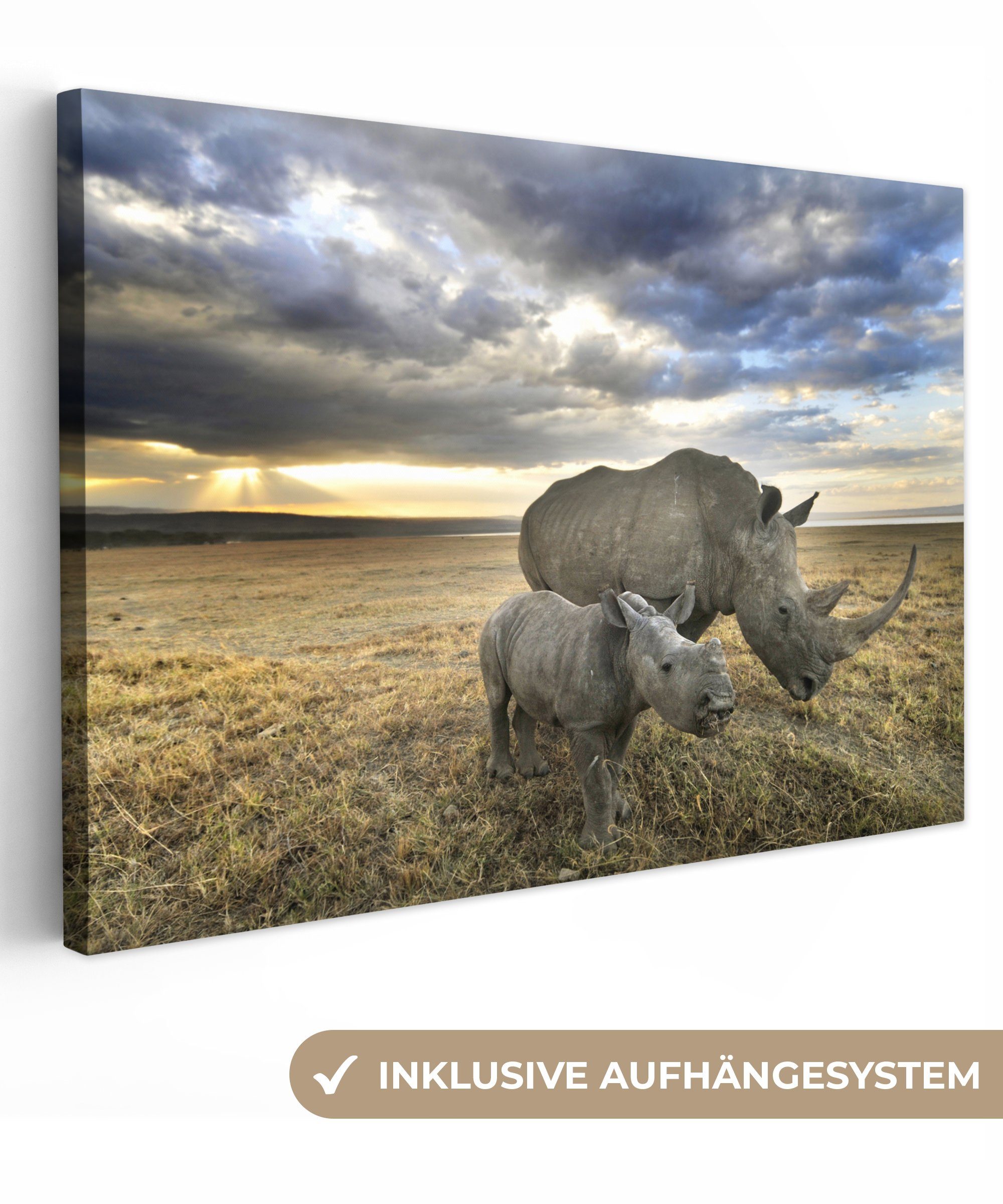 OneMillionCanvasses® Leinwandbild Rhinozeros - Kalb - Safari, (1 St), Wandbild Leinwandbilder, Aufhängefertig, Wanddeko, 30x20 cm