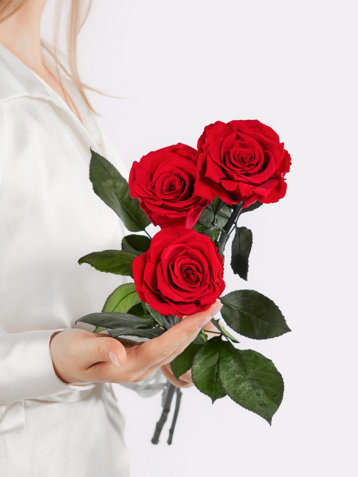 Fleurop Infinity-Rosen Infinity Rosen: Ewige Liebe