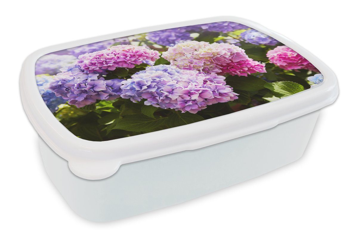 MuchoWow Lunchbox Blumen - Hortensie - Rosa - Blätter - Sonne, Kunststoff, (2-tlg), Brotbox für Kinder und Erwachsene, Brotdose, für Jungs und Mädchen weiß