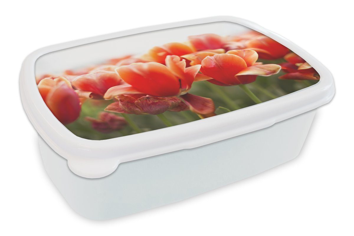 und Erwachsene, der Blätter roten Kinder (2-tlg), Lunchbox von weiß Kunststoff, Brotdose, Brotbox für Bild für Tulpen, Mädchen Jungs und MuchoWow
