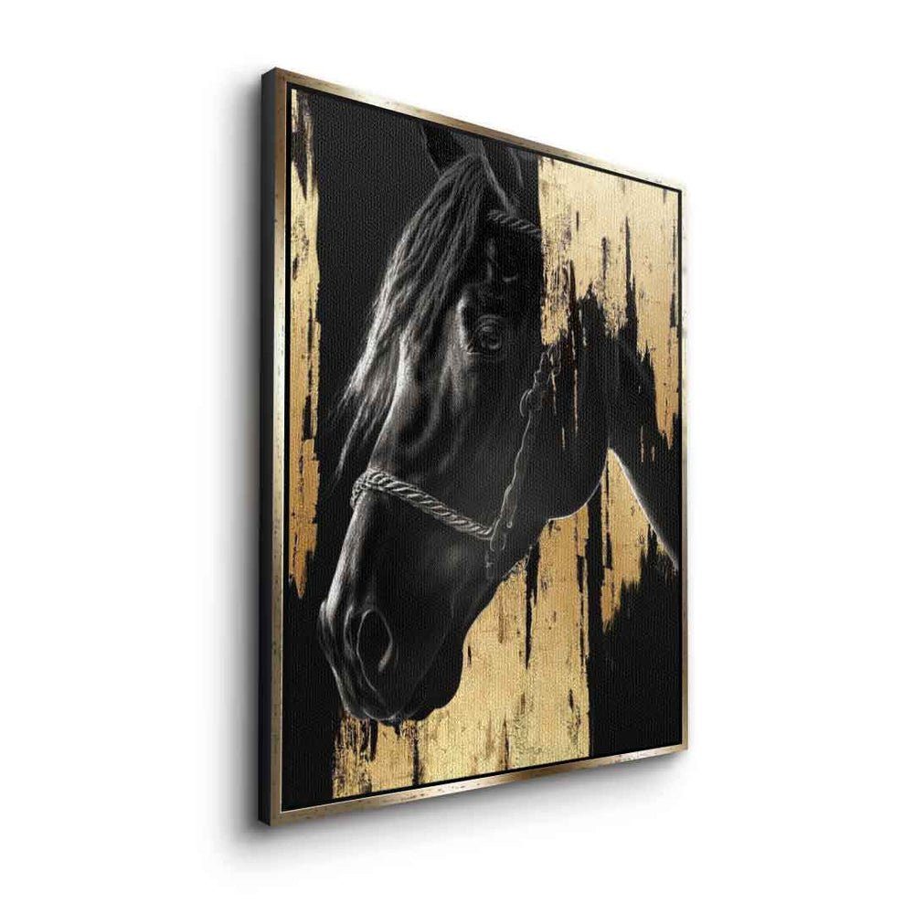 DOTCOMCANVAS® Leinwandbild, Leinwandbild schwarz gold Ra Tier mit Luxury Horse Rahmen luxus schwarzer premium Pferd