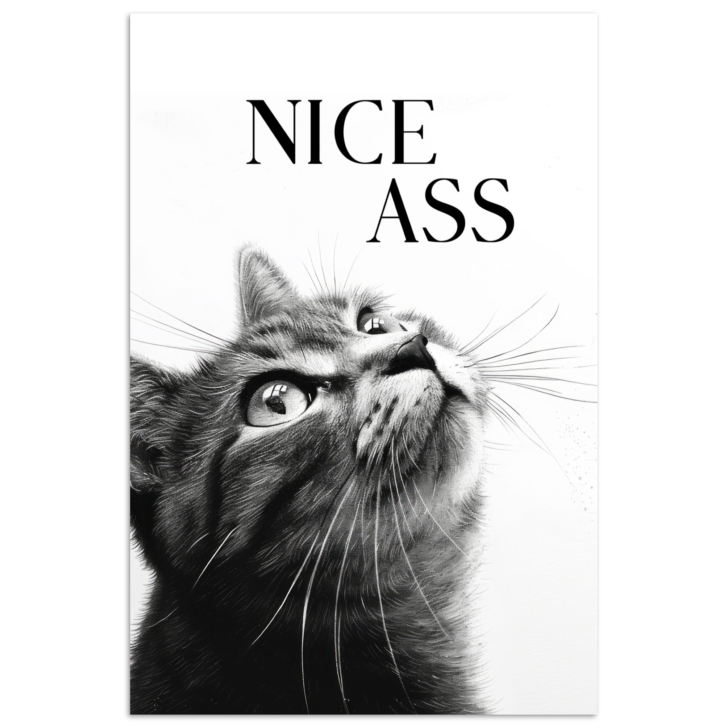 MuchoWow Poster Katzen - Netter Arsch günstig online kaufen