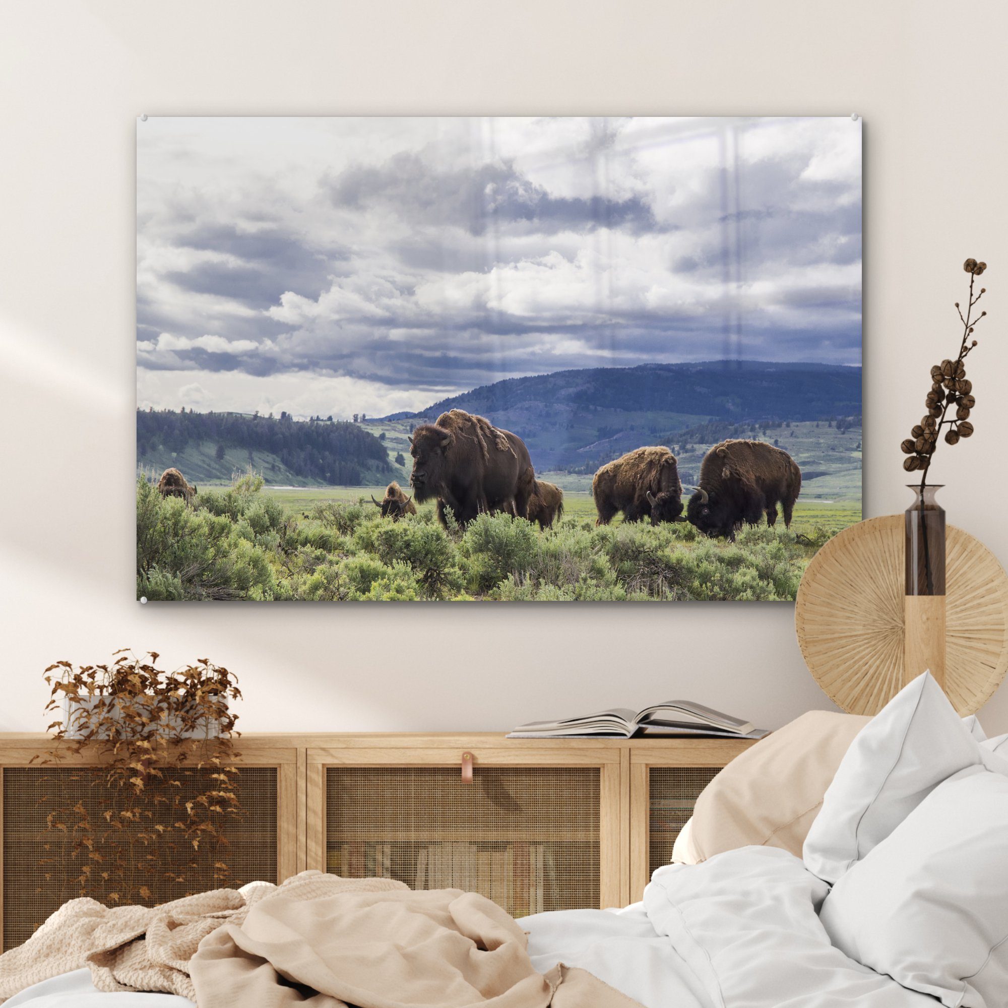 & MuchoWow St), Acrylglasbild Wyoming, Wohnzimmer einer (1 Schlafzimmer in Wiese auf Bison Acrylglasbilder