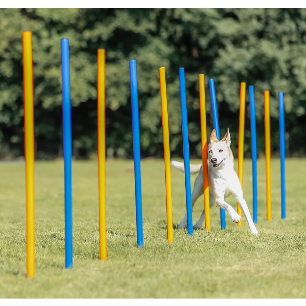 TRIXIE Agility-Slalom Fun Agility Slalom - blau/orange - ø 3 × 115 cm, Kunststoff