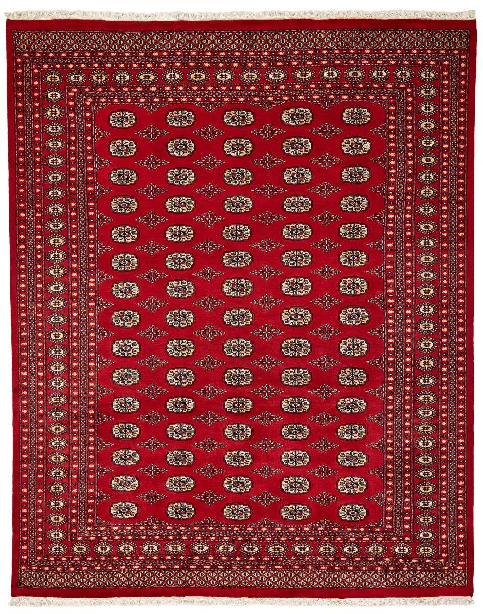 Orientteppich Pakistan Buchara 2ply 249x309 Handgeknüpfter Orientteppich, Nain Trading, rechteckig, Höhe: 8 mm
