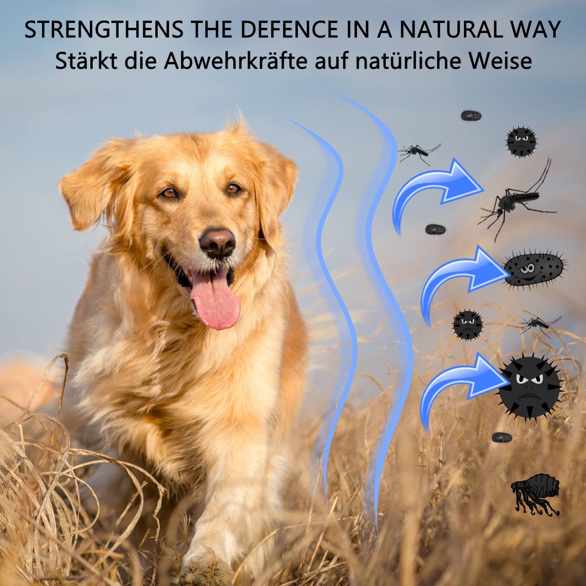 DOGBOSS DOGBOSS Kauknochen 100% Natur Cistus Pansen. Welpe&Senior, 5er Set Cistus Incanus und Pansen, 5er Set 12 cm, Snack für: Hunde, aus 100% natürlichen Zutaten