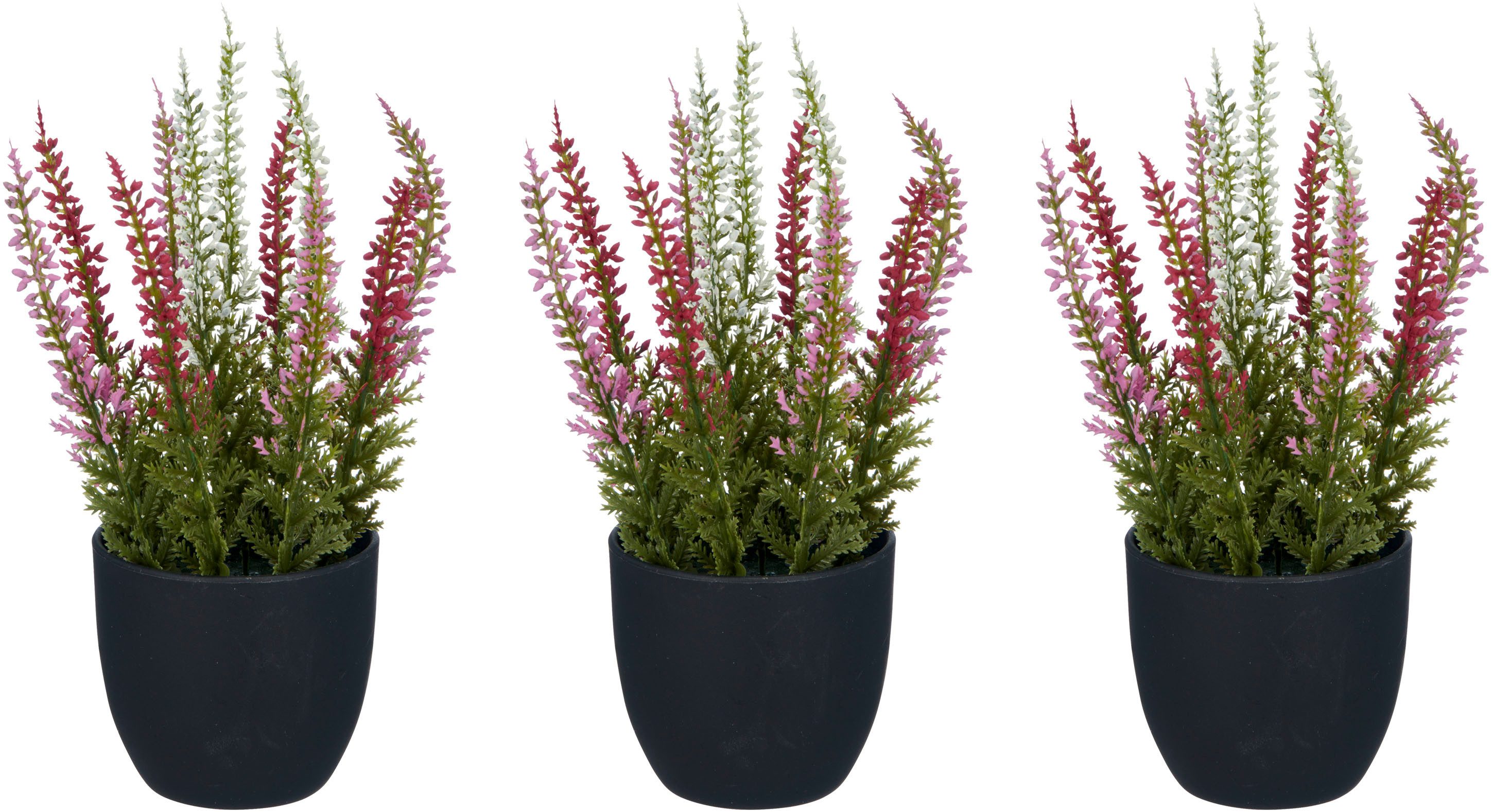 Kunstpflanze Heidepflanze, Creativ green, Höhe 17 cm, mit detailgetreuer Ge günstig online kaufen