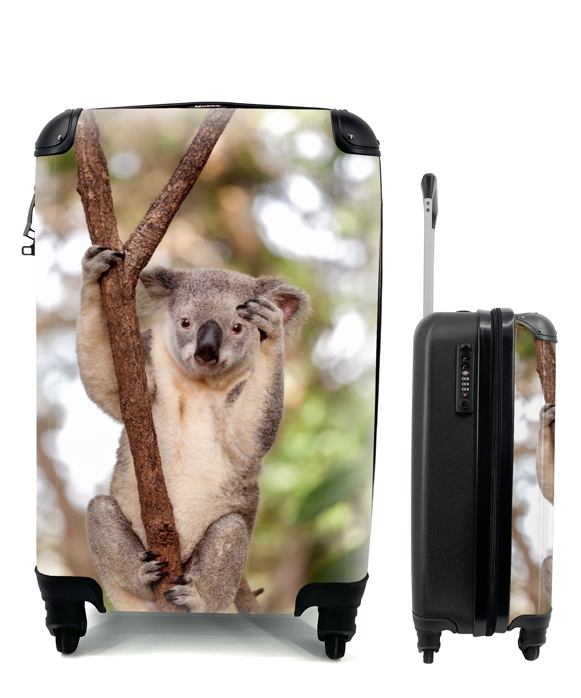 MuchoWow Handgepäckkoffer Koala - Äste - Tier - Kinder - Jungen - Mädchen, 4 Rollen, Reisetasche mit rollen, Handgepäck für Ferien, Trolley, Reisekoffer