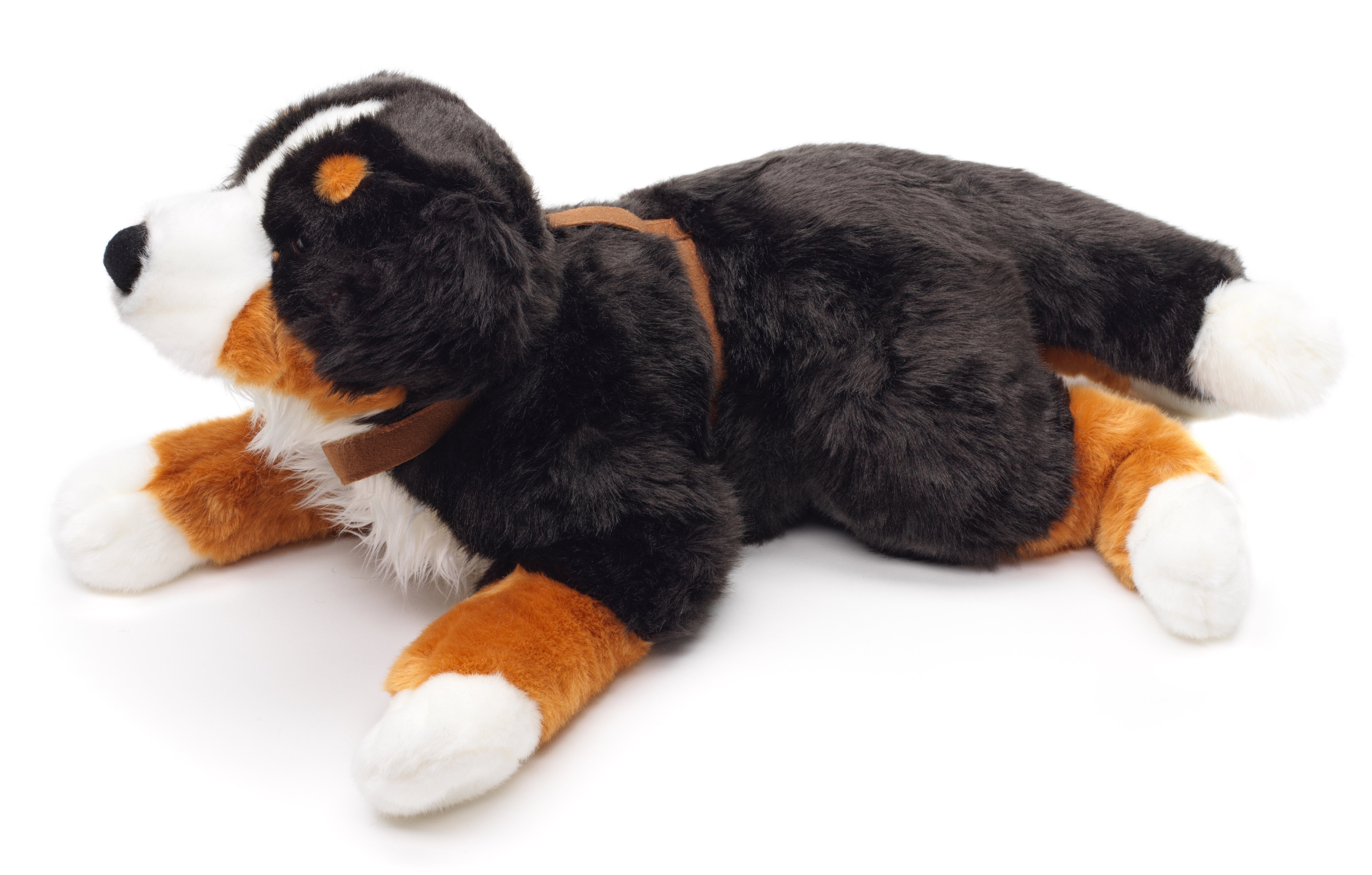 Uni-Toys Kuscheltier Berner Sennenhund mit Geschirr - 62 cm - Plüsch-Hund - Plüschtier, zu 100 % recyceltes Füllmaterial