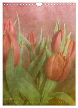 CALVENDO Wandkalender Blütenzauber (Wandkalender 2024 DIN A4 hoch), CALVENDO Monatskalender