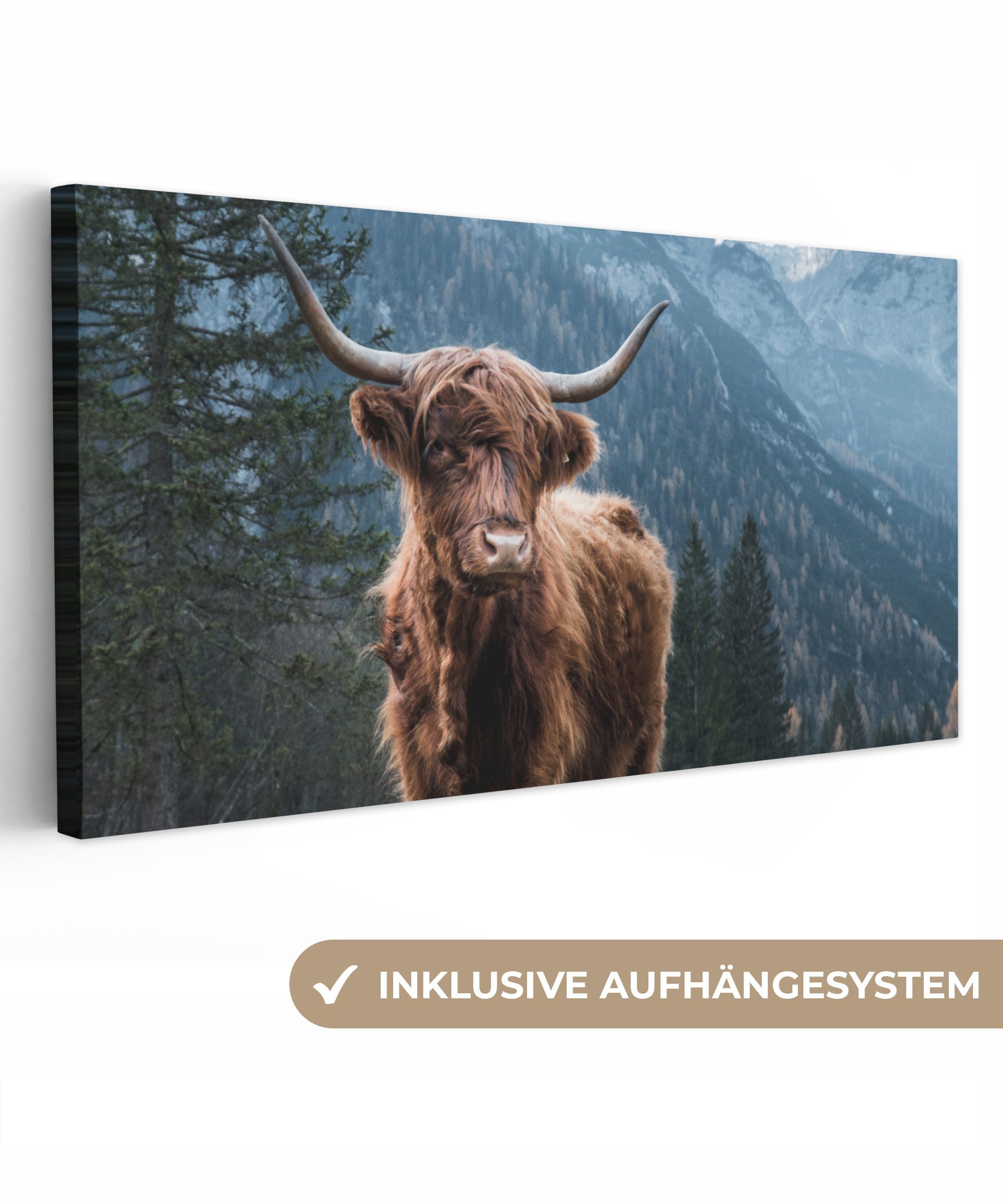 Schottische Highlander - Berg - Landschaft - Bäume - Kuh - Natur