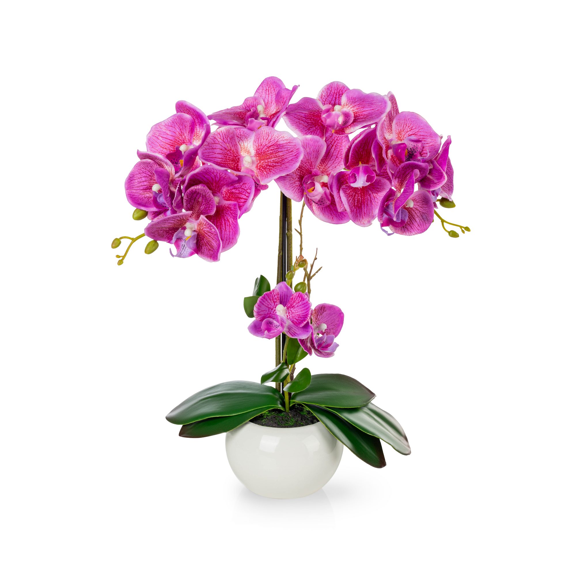 Kunstorchidee PASCH® Orchidee künstlich wie echt (40cm) in Hochglanz-Keramiktopf Orchidee, PASCH