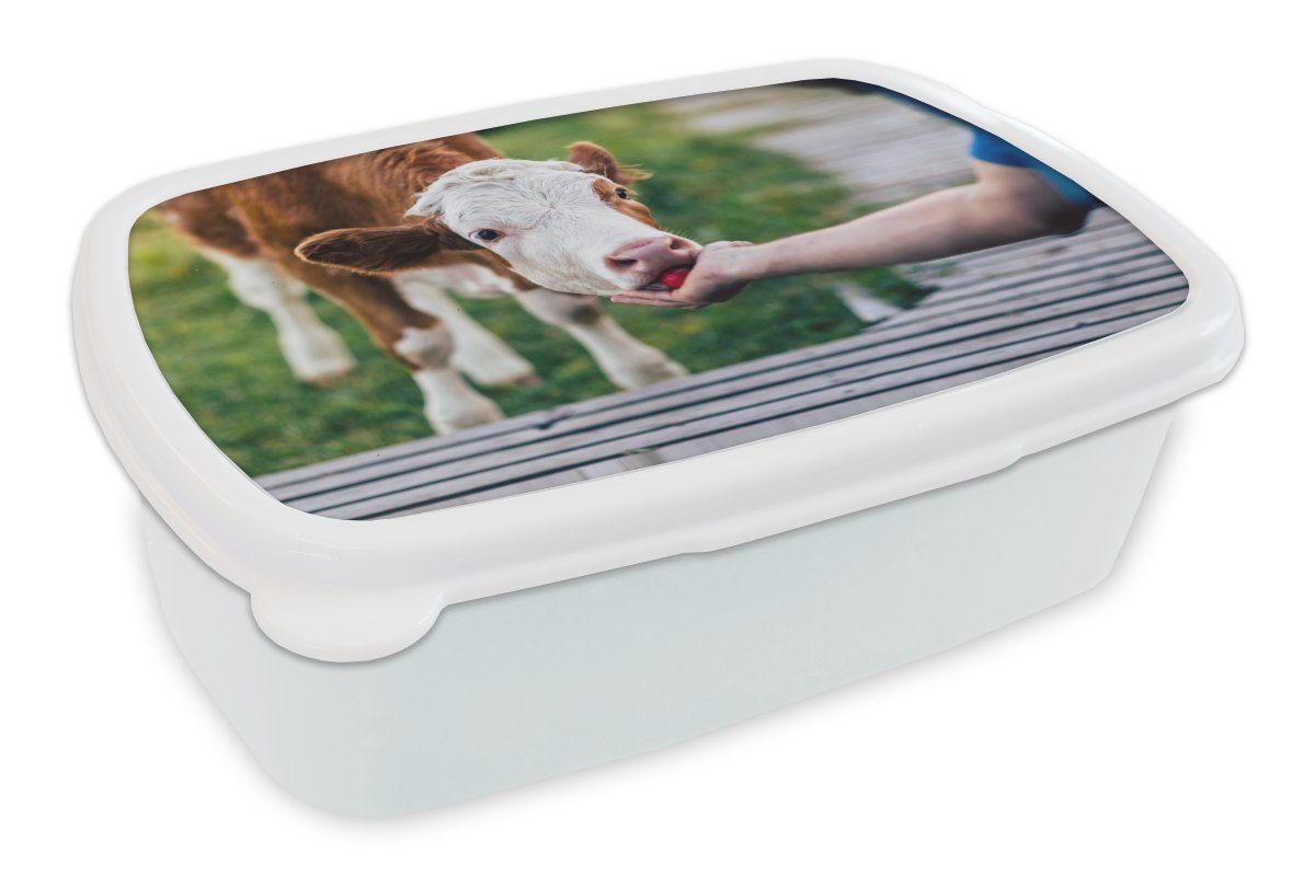 MuchoWow Lunchbox Kalb aus der Hand fressen, Kunststoff, (2-tlg), Brotbox für Kinder und Erwachsene, Brotdose, für Jungs und Mädchen weiß
