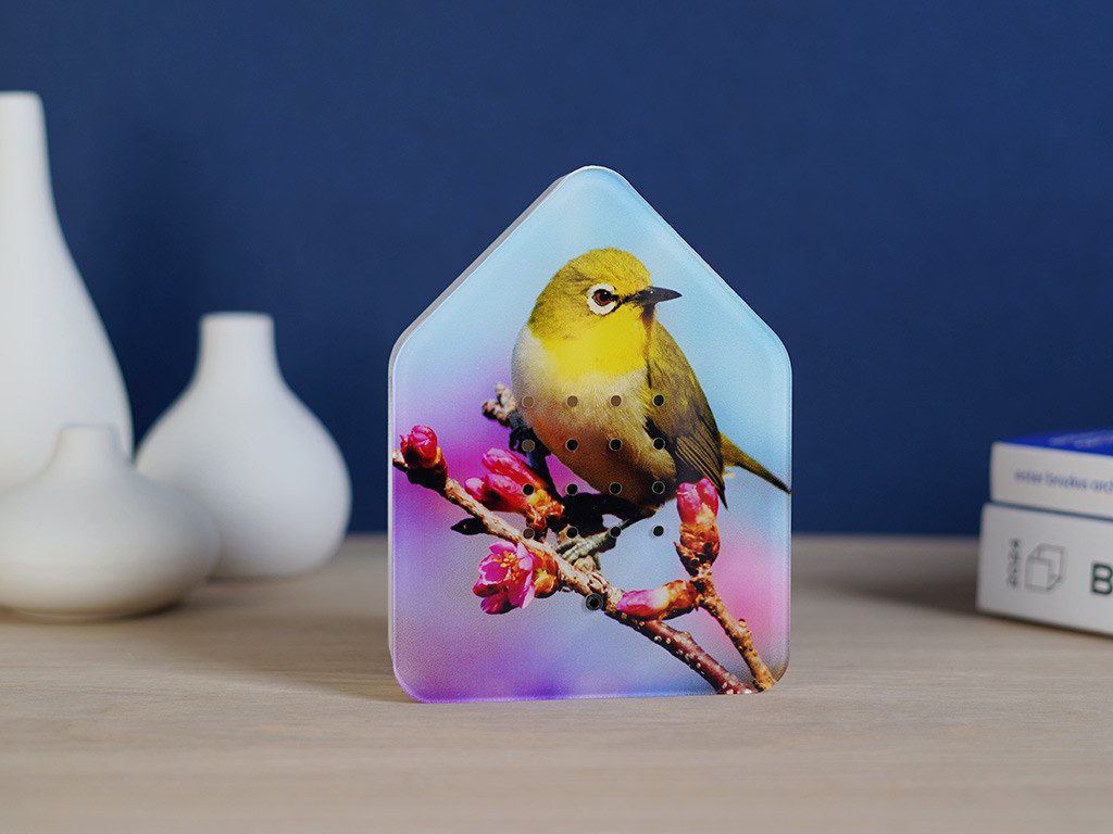 Relaxound GmbH Dekoobjekt Zwitscherbox günstig online kaufen