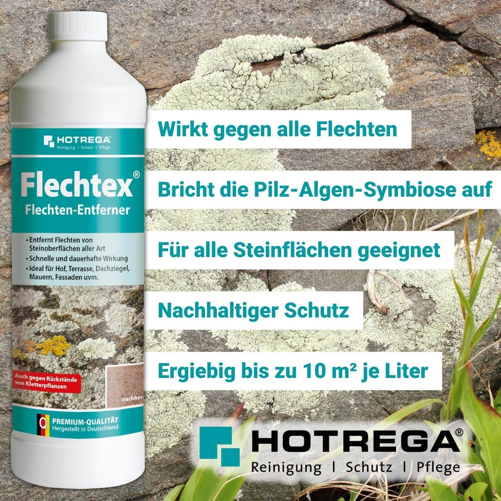 HOTREGA® Flechten Entferner 3x 1 Schaum Drucksprüher Liter 1 inkl. Grünbelagentferner Liter