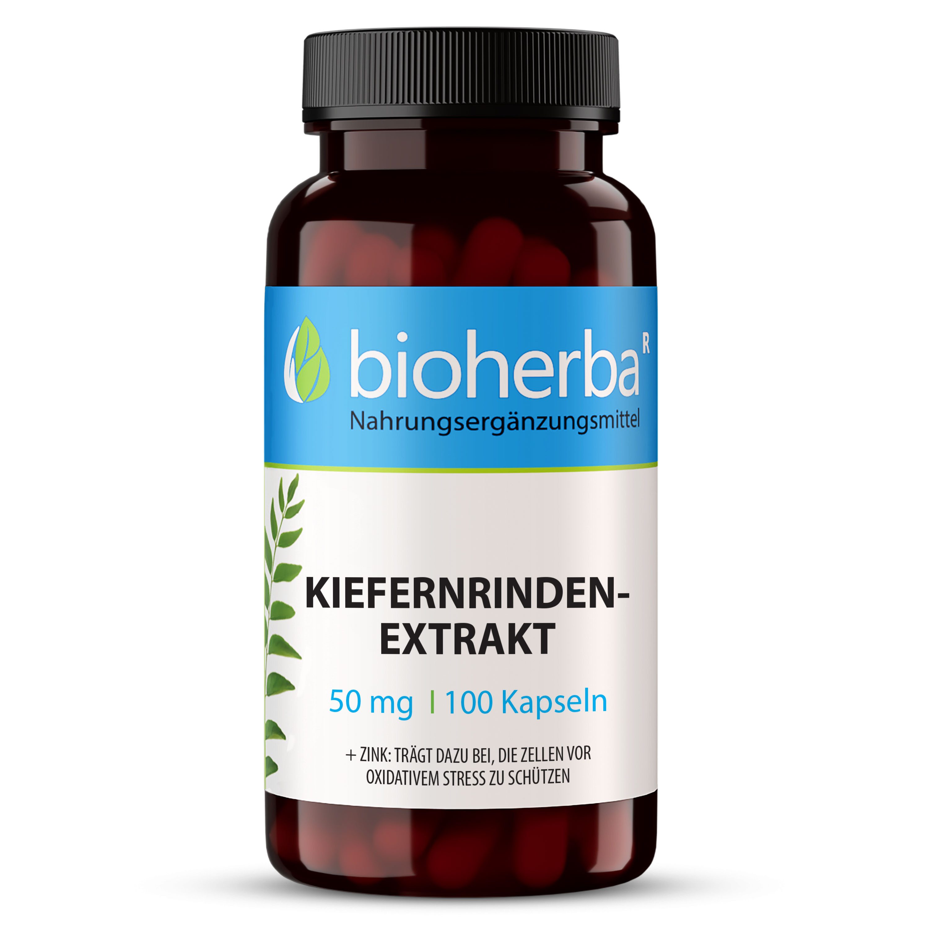 BIOHERBA R Bioherba Kiefernrindenextrakt 50 mg 100 Kapseln Nahrungsergänzungsmittel, 1 er