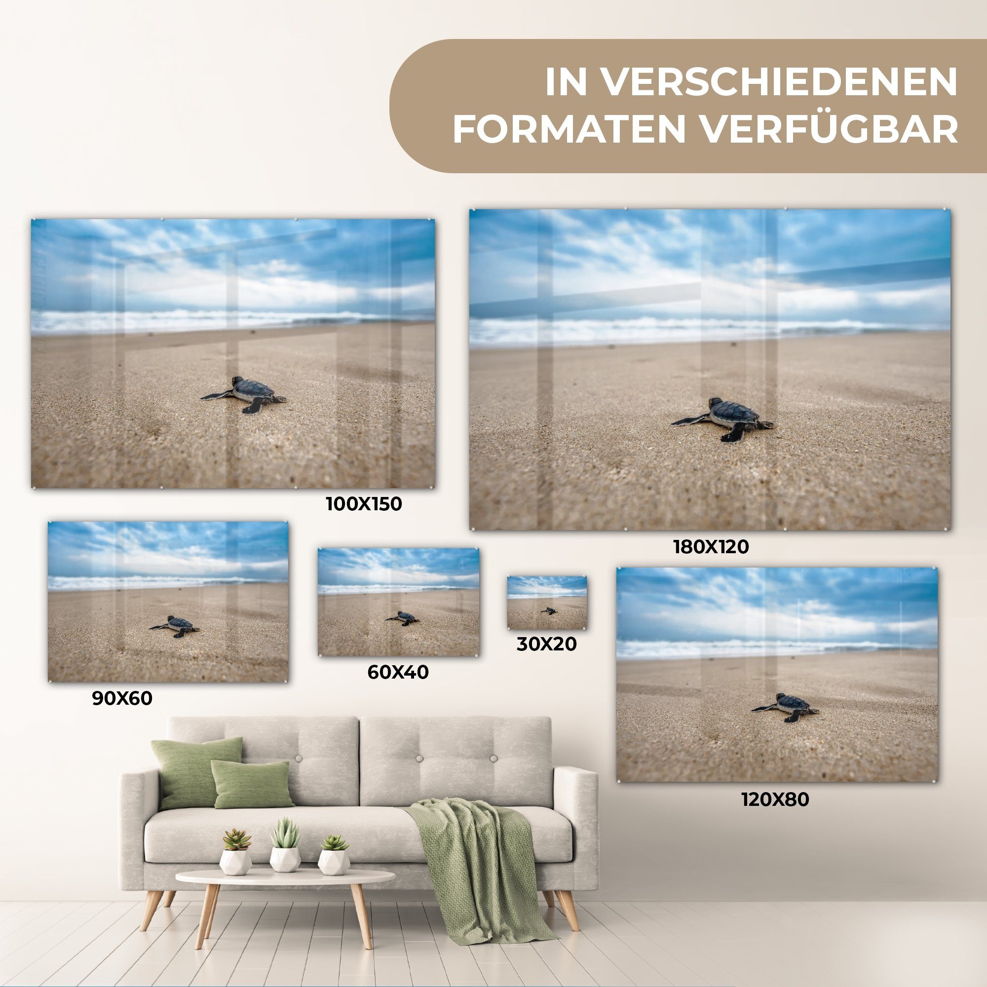 MuchoWow Acrylglasbild Strand - Schlafzimmer Meer & Acrylglasbilder (1 Wohnzimmer Schildkröte, St), 