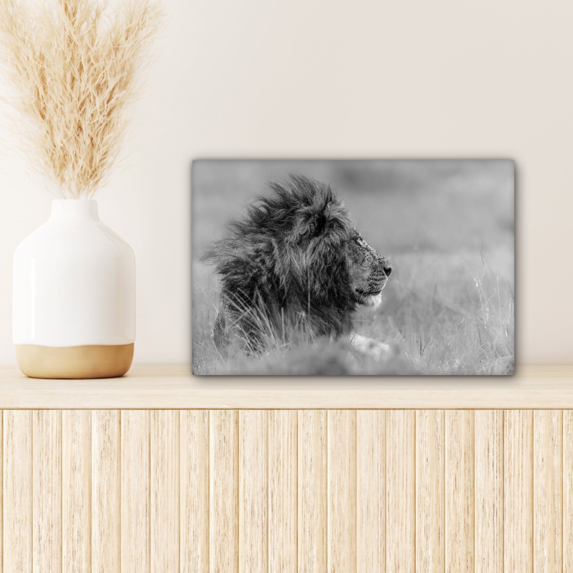 Leinwandbilder, - Natur, Löwe 30x20 Schwarz Leinwandbild Wandbild Aufhängefertig, Tiere - OneMillionCanvasses® cm - - St), (1 Weiß Wanddeko,