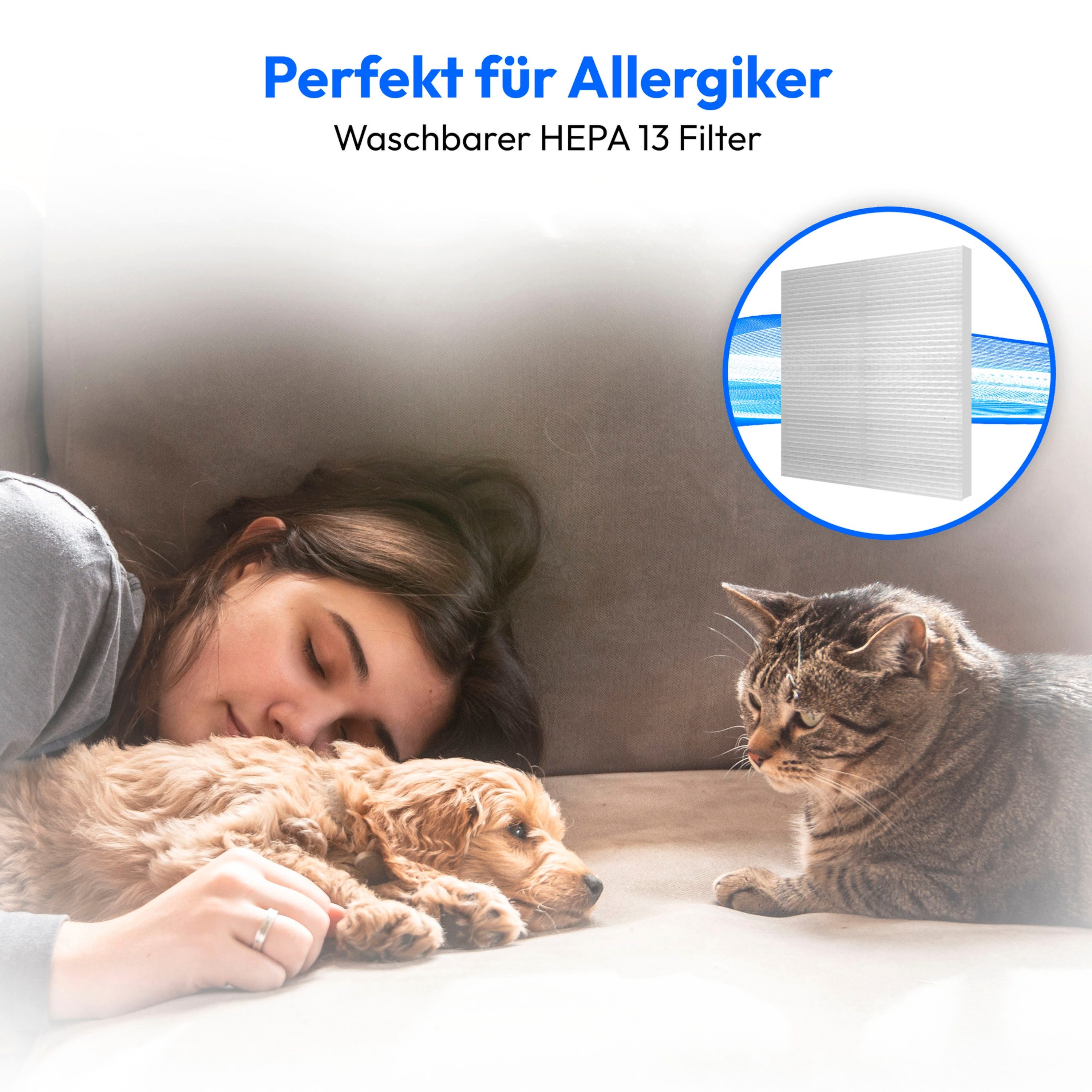 Medion® Bodenstaubsauger Beutelloser Zyklon-Staubsauger MEDION LIFE P2000 (MD 11905), 700 W, beutellos, P3000
