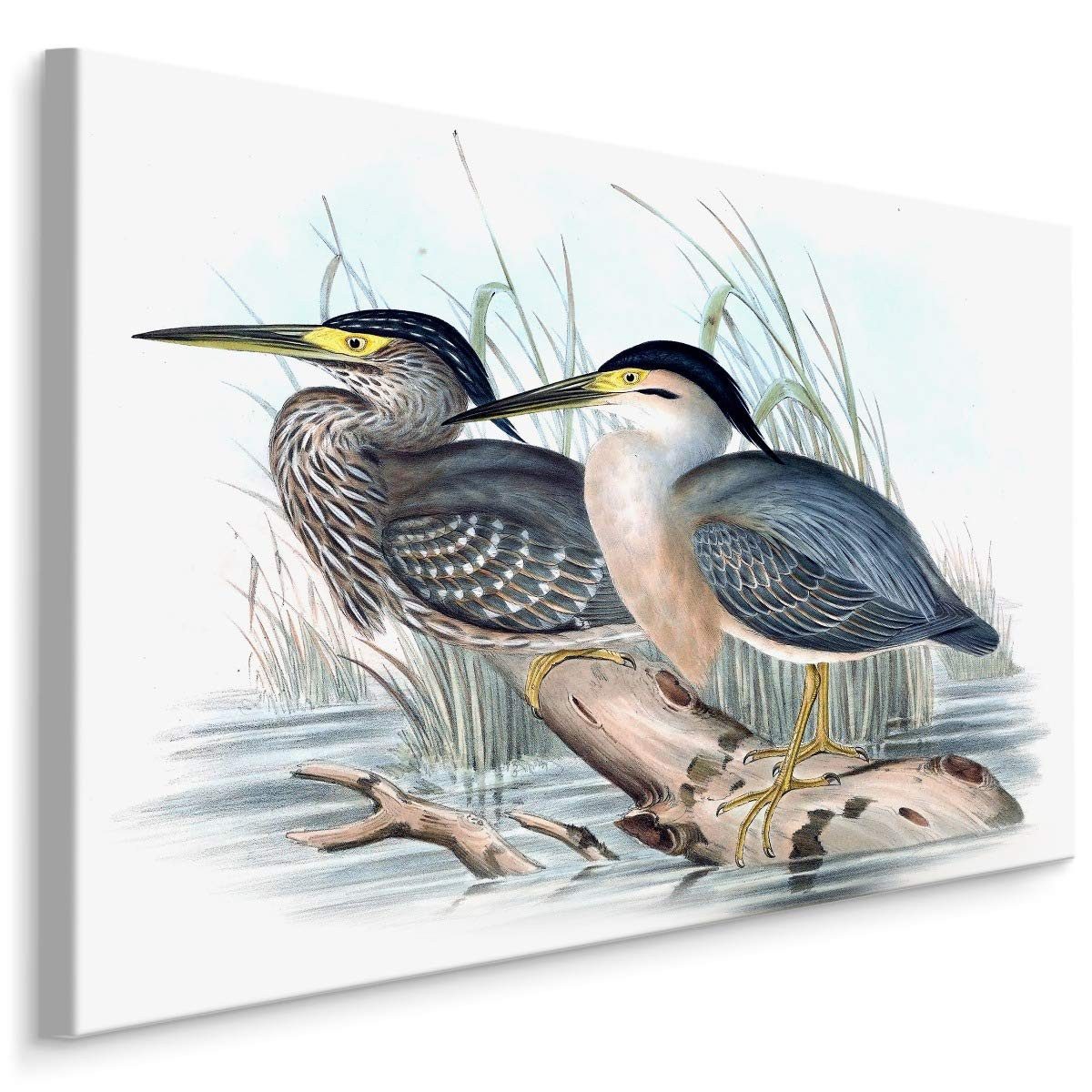 Muralo Leinwandbild Landschaft – Leinwandbild Wandbild Kunstdruck Wohnzimmer, Gewässer (1 St), Tiere – Vögel – Kraniche, 90 x 60 cm, aufhängefertig