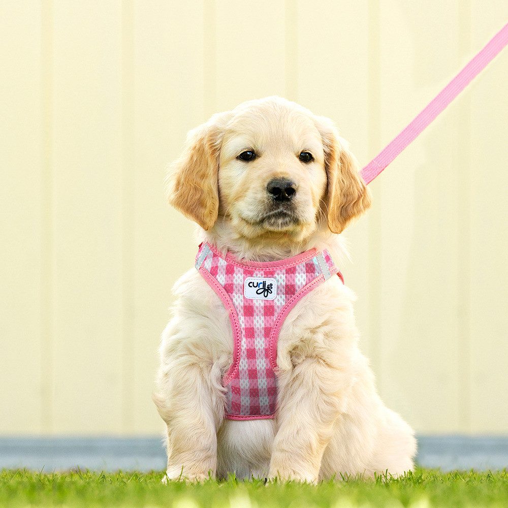 Curli Hunde-Geschirr Vest Geschirr Puppy Set pink-caro