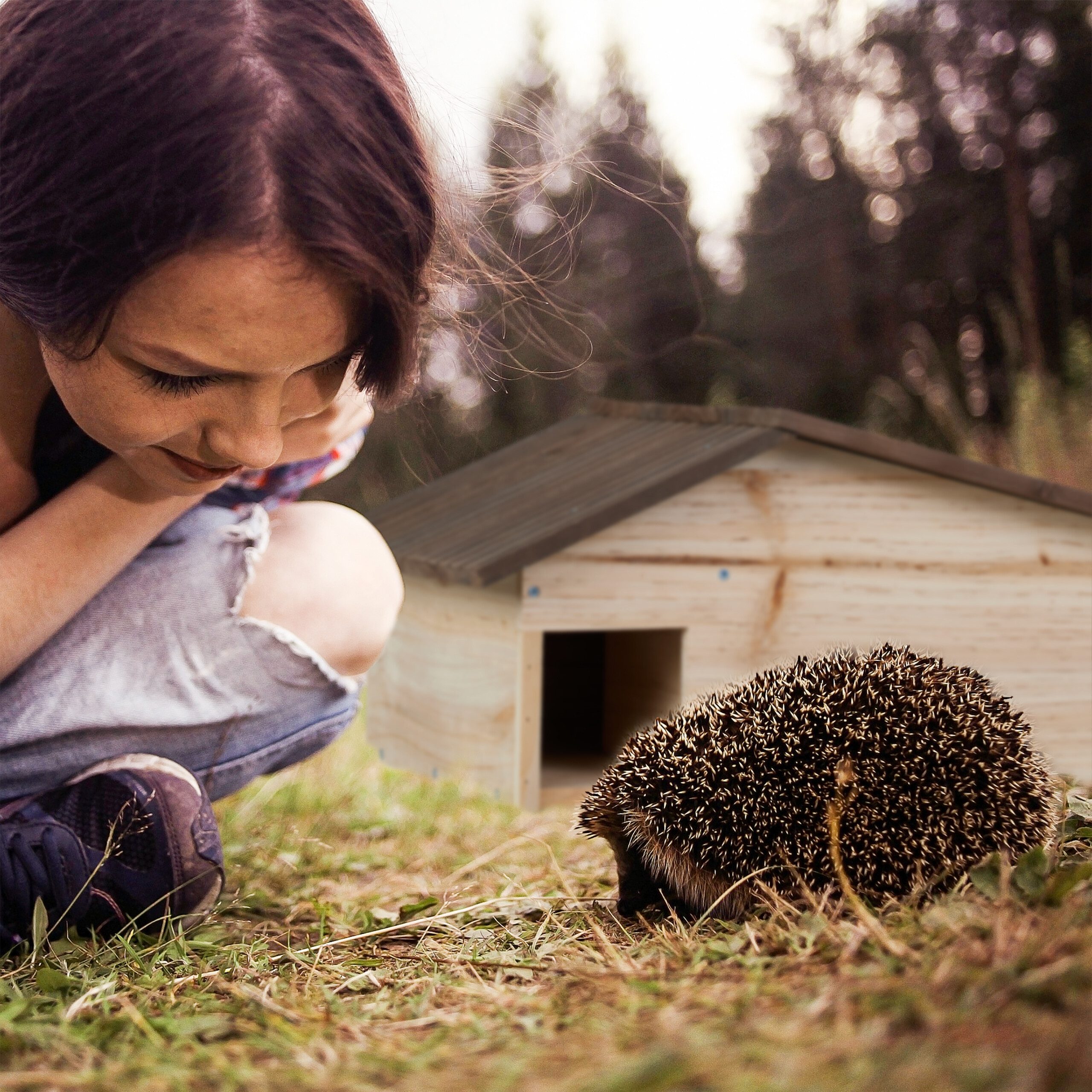 relaxdays Igelhaus mit Bode, geflammt