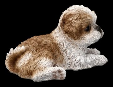 Figuren Shop GmbH Dekofigur Shih Tzu Welpen Figur liegend - Hunde Dekofigur Hundewelpen