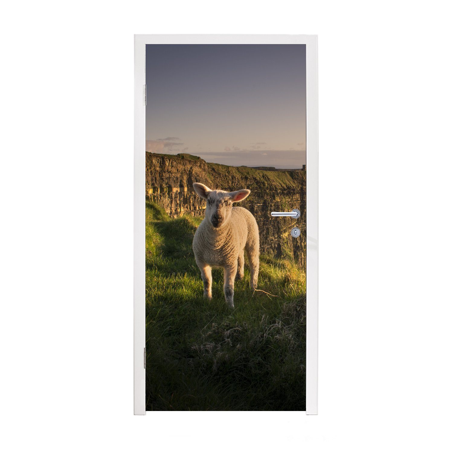 MuchoWow Türtapete Schafe - Natur - Irland, Matt, bedruckt, (1 St), Fototapete für Tür, Türaufkleber, 75x205 cm