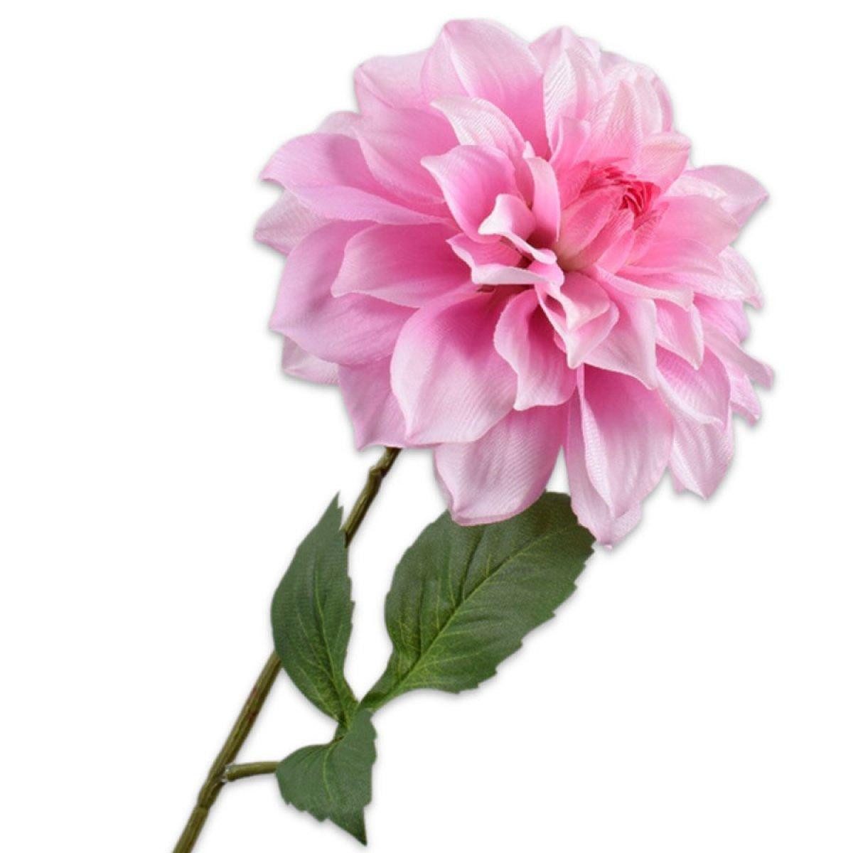 Künstliche Zimmerpflanze Seidenblume Dahlie Rosa (71cm), SILK-KA