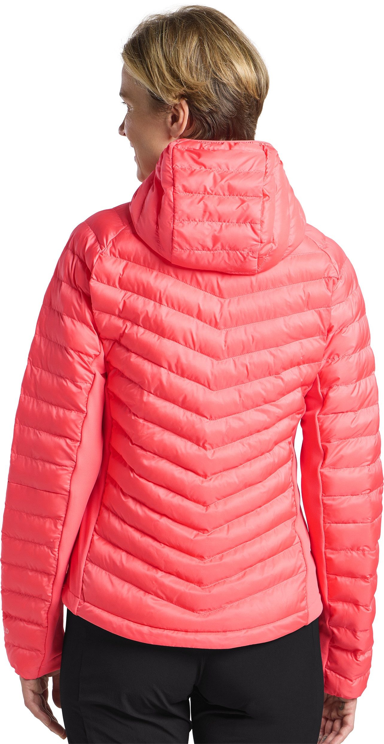 Jack Wolfskin Funktionsjacke ROUTEBURN PRO INS günstig online kaufen