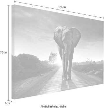 Reinders! Wandbild Elefant König