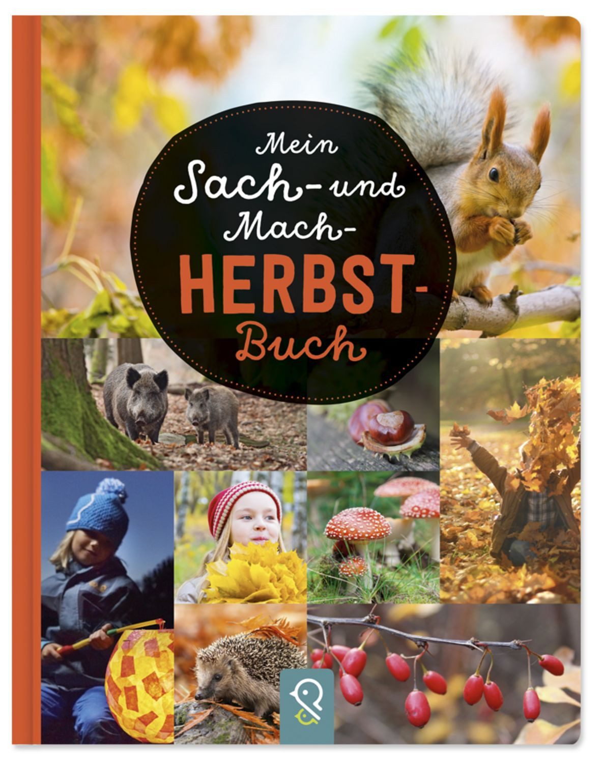 Mein Sach- und Mach-Herbst-Buch / diverse