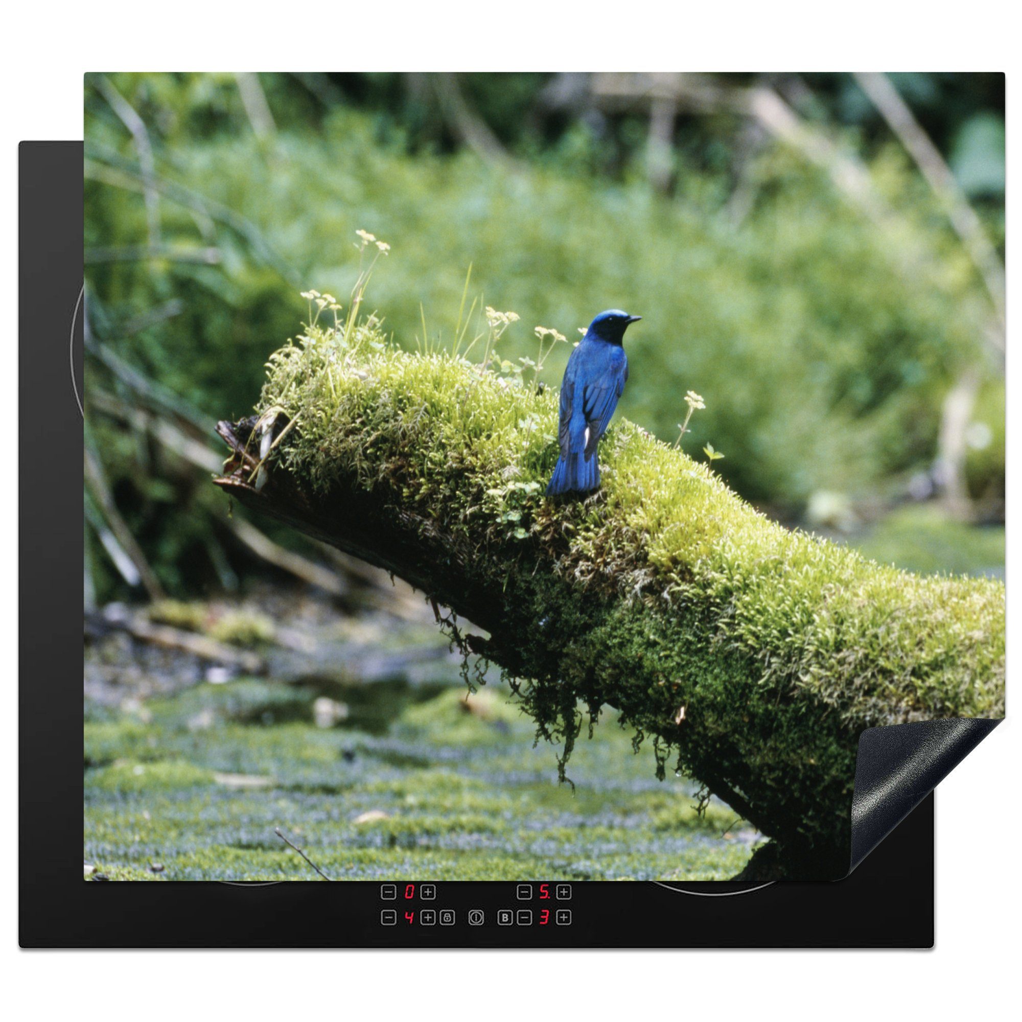 MuchoWow Herdblende-/Abdeckplatte Vogel auf tlg), nutzbar, Baum, cm, einem (1 Arbeitsfläche Vinyl, 60x52 Mobile moosbewachsenen Ceranfeldabdeckung