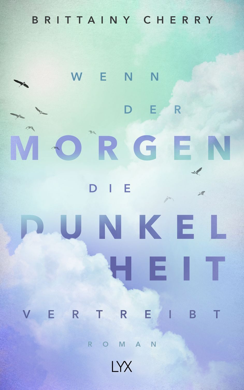 Wenn der Morgen die Dunkelheit vertreibt / Brittainy Cherry, Roman