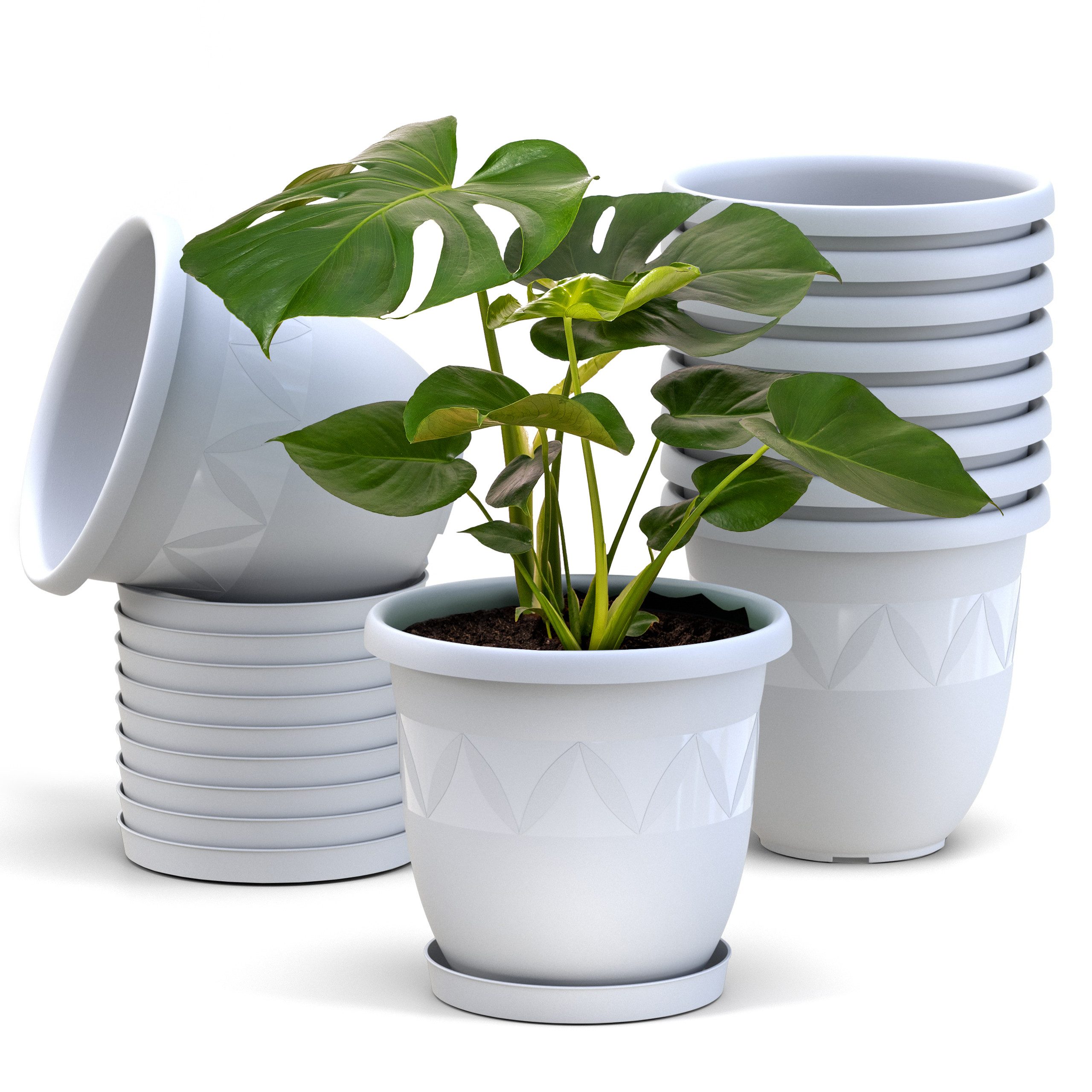 Plastard Pflanzkübel 3er, 5er, 10er Sets, günstig online kaufen