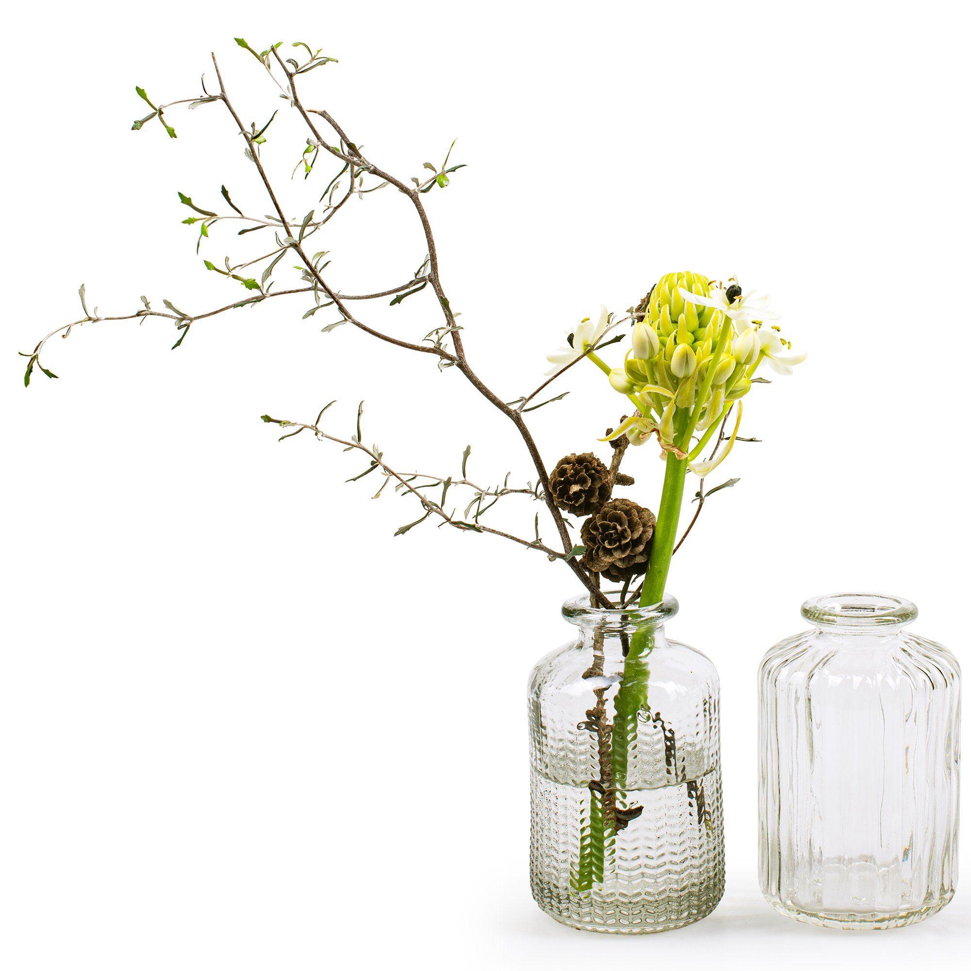 Annastore Dekovase 12 x kleine Vasen aus Glas Vintage - Blumenvasen (Tischv günstig online kaufen