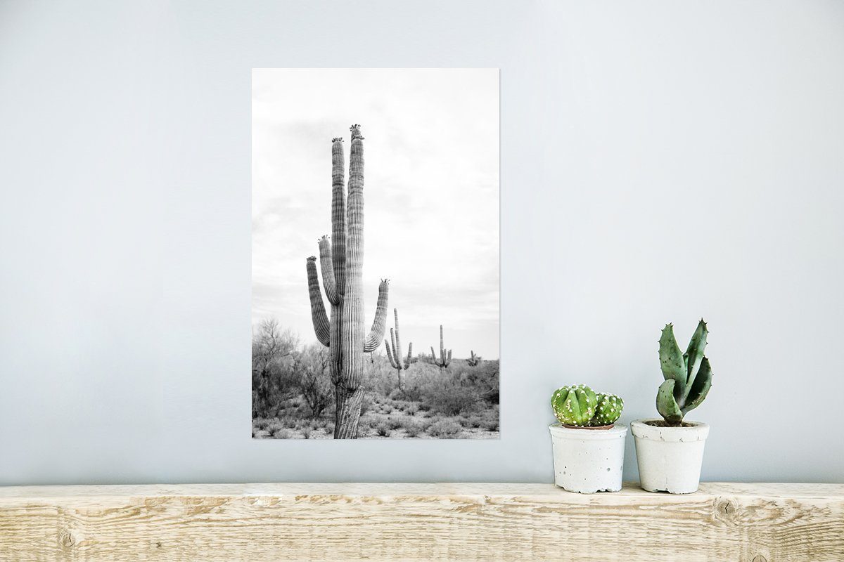 für weiß - Wandposter Rahmen Kaktus Pflanzen, - Ohne Wohnzimmer, Poster St), (1 und - Poster, Wandbild, Natur Schwarz MuchoWow