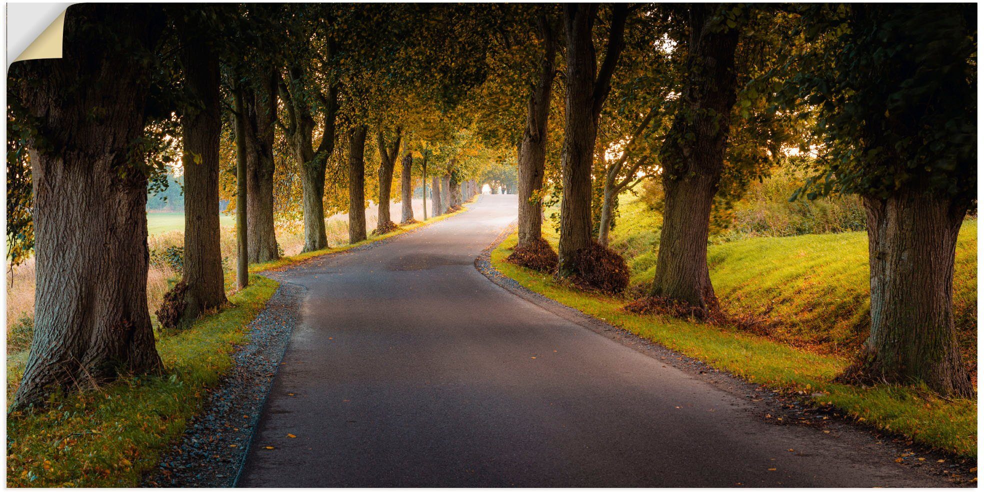 Artland Wandbild Allee im & versch. Leinwandbild, oder Wiesen Baumbilder Poster Alubild, Größen in Wandaufkleber (1 als Herbst, St)