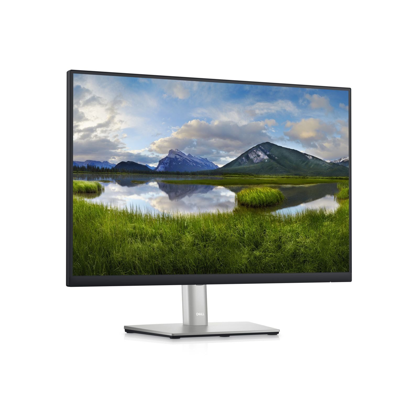 Dell 60,96cm/24 (1920x1200) -P2423 16:10 8ms IPS HDMI DVI DisplayPort VGA U TFT-Monitor (1920 x 1200 px, WUXGA, 5 ms Reaktionszeit, 60 Hz, IPS, Pivot, Höhenverstellbar)