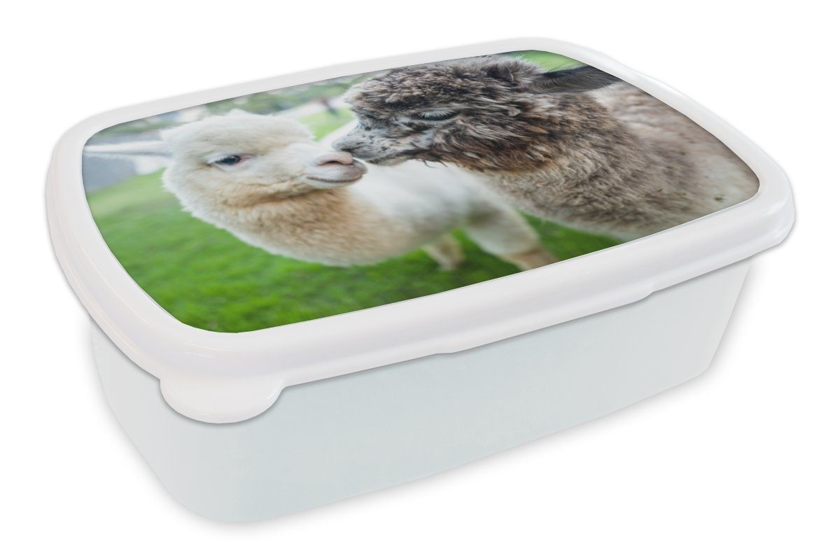 MuchoWow Lunchbox Liebe - Alpaka - Stofftier, Kunststoff, (2-tlg), Brotbox für Kinder und Erwachsene, Brotdose, für Jungs und Mädchen weiß