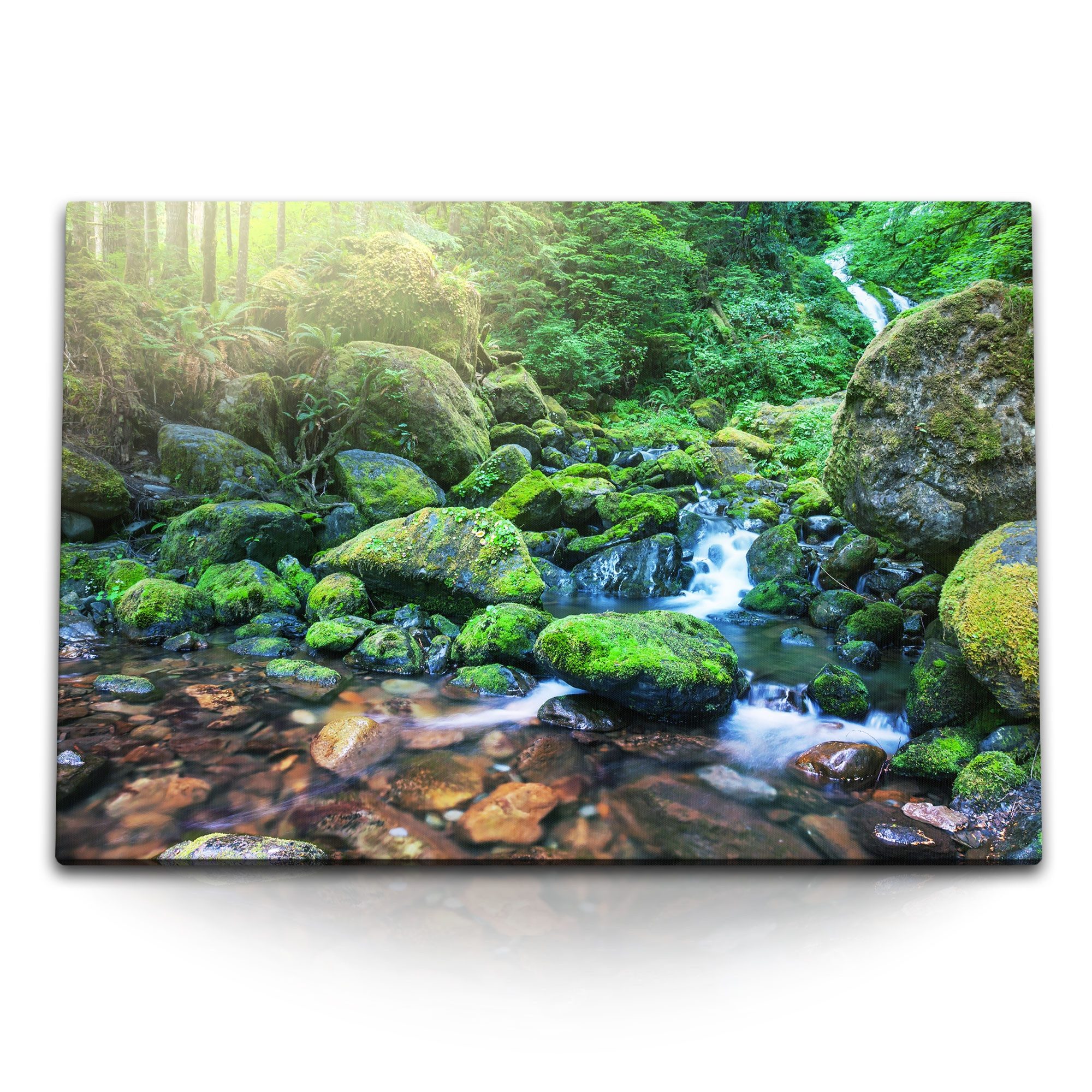 Leinwandbild 120x80cm Wandbild auf Leinwand Bach Moos Dschungel Natur Grün Tropisch