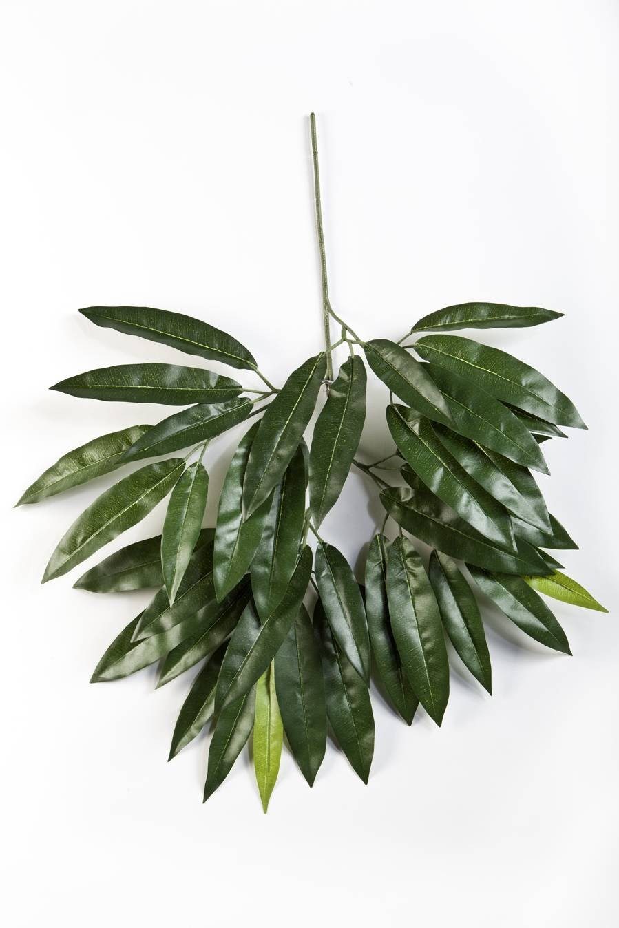 Kunstzweig Deko Mangozweig TENIEL, 40 Blätter, grün, 55cm - künstlicher Zweig Mango, artplants, Höhe 55.0 cm