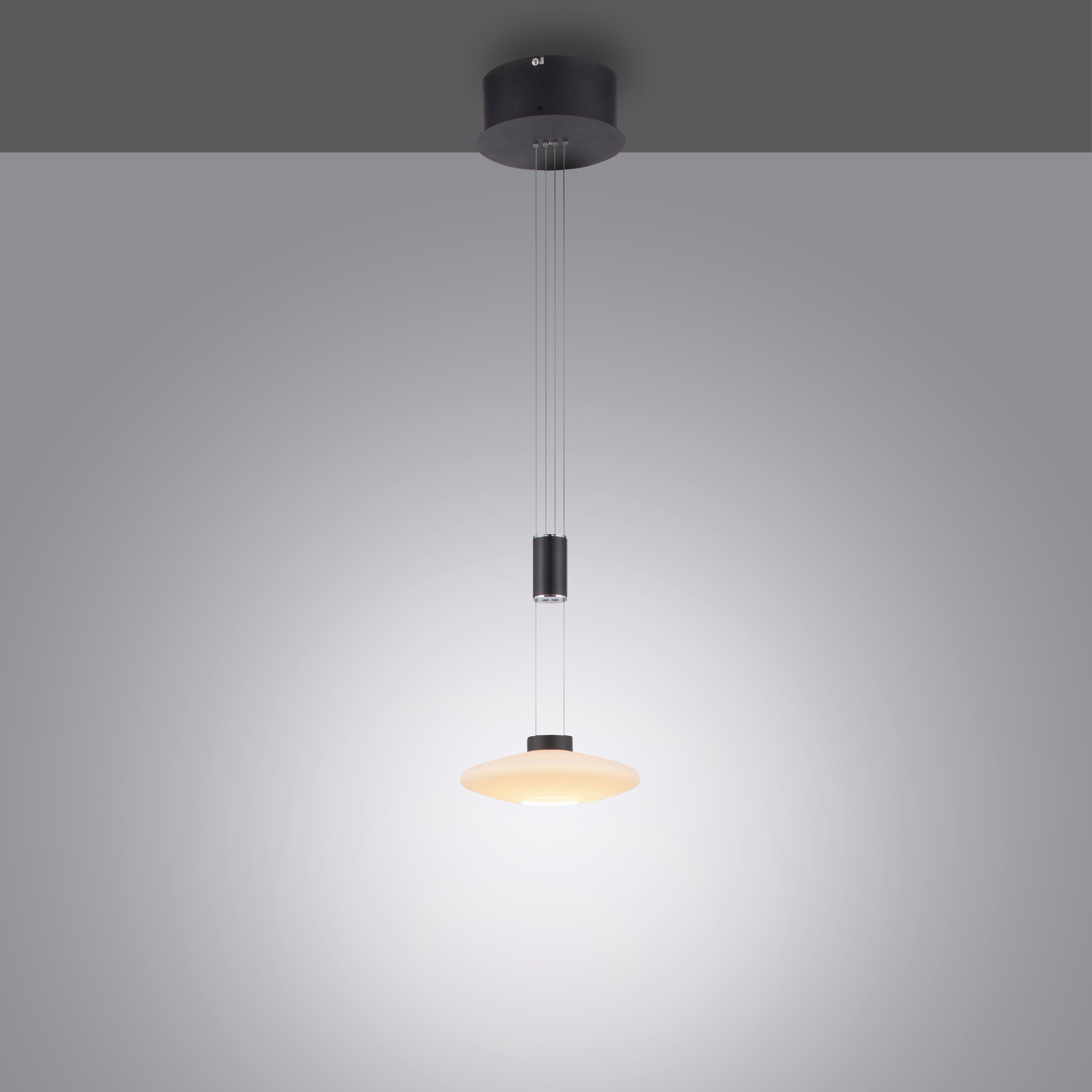 Paul Neuhaus Pendelleuchte Pendellampe Warmweiß, nach fest Design Dim, im Trennung LED modernen integriert, Netz, vom Memory, dimmbar, LED LAUTADA, LED, Simply