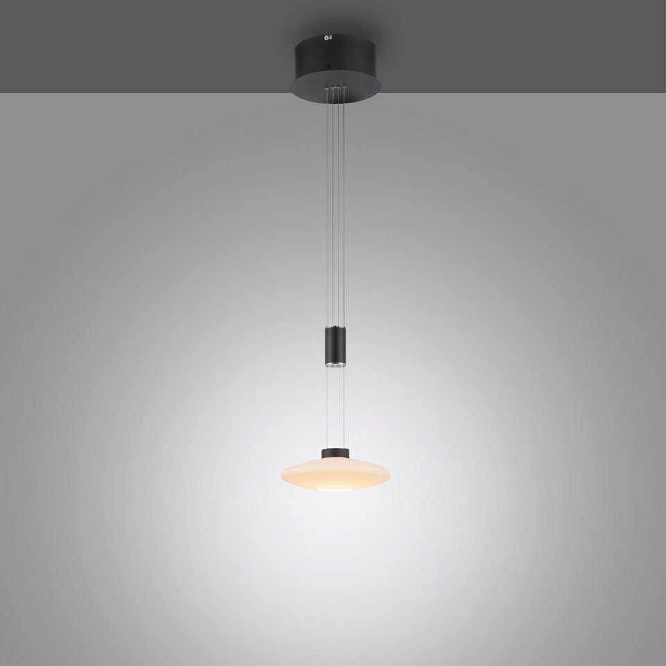Paul Neuhaus Pendelleuchte LAUTADA, LED fest integriert, Warmweiß, LED,  dimmbar, Simply Dim, Memory, nach Trennung vom Netz, LED Pendellampe im  modernen Design